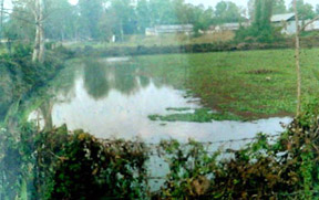 The sacred Koubru Pukhri (water tank) inside the Kangla.